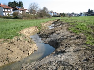 Nach_der_Renaturierung Nach_der_Renaturierung